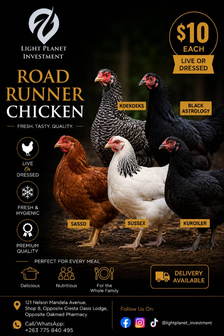 Road Runner Chicken (Live or Dressed)